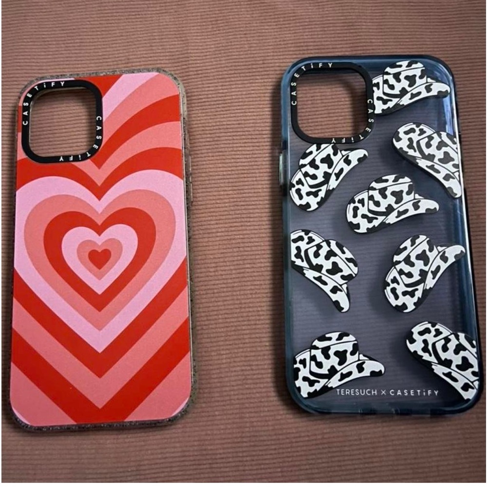 iPhone 12 Pro Max casetify cases